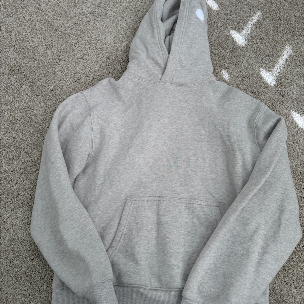 Aritzia Gray Hoodie